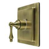 Revival Single-Handle Pressure Balanced Shower Valve Trim Kit - Valve Included