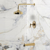 Hallerbos Single-Handle Pressure Balanced Tub and Shower Faucet