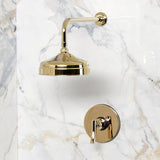 Hallerbos Single-Handle Pressure Balanced Shower Faucet