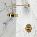 Concord Single-Handle Pressure Balanced Shower Faucet