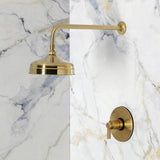 NuvoFusion Single-Handle Pressure Balanced Shower Faucet