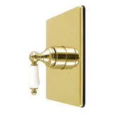 Demure Single-Handle Pressure Balanced Shower Valve Trim Kit - Valve Included