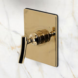 Hallerbos Single-Handle Pressure Balanced Shower Faucet