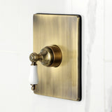 Demure Single-Handle Pressure Balanced Tub and Shower Faucet