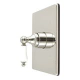 Demure Single-Handle Pressure Balanced Shower Valve Trim Kit - Valve Included
