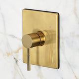 Concord Single-Handle Pressure Balanced Shower Faucet
