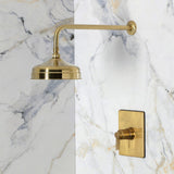 NuvoFusion Single-Handle Pressure Balanced Shower Faucet
