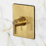 NuvoFusion Single-Handle Pressure Balanced Shower Faucet