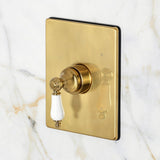 Victorian Single-Handle Pressure Balanced Shower Faucet