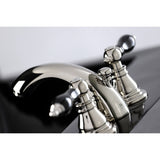 Duchess Two-Handle 3-Hole Deck Mount Mini-Widespread Bathroom Faucet with Pop-Up Drain