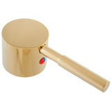 Concord Brass Lever Handle