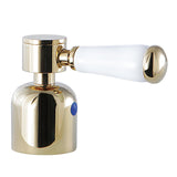 Paris Metal with Porcelain Lever Handle (Cold Side)