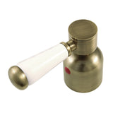 Paris Metal with Porcelain Lever Handle (Hot Side)