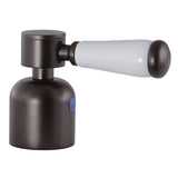 Paris Metal with Porcelain Lever Handle (Cold Side)