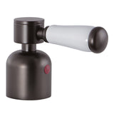 Paris Metal with Porcelain Lever Handle (Hot Side)