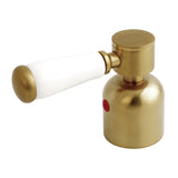 Paris Metal with Porcelain Lever Handle (Hot Side)