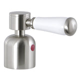 Paris Metal with Porcelain Lever Handle (Hot Side)