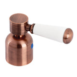 Paris Metal with Porcelain Lever Handle (Cold Side)