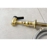 Made To Match Brass Kitchen Faucet Side Sprayer