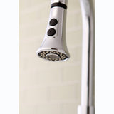 Made To Match 2-Function Pull-Down Kitchen Faucet Sprayer