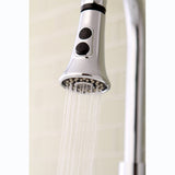 Made To Match 2-Function Pull-Down Kitchen Faucet Sprayer