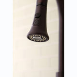 Made To Match 2-Function Pull-Down Kitchen Faucet Sprayer