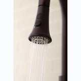 Made To Match 2-Function Pull-Down Kitchen Faucet Sprayer
