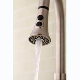 Made To Match 2-Function Pull-Down Kitchen Faucet Sprayer