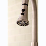 Made To Match 2-Function Pull-Down Kitchen Faucet Sprayer