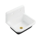 Petra Galley Cast Iron Single Bowl Wall Mount Utility Sink with Drain