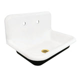 Towne Cast Iron Single Bowl Wall Mount Utility Sink with Drain