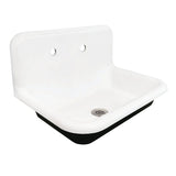 Towne Cast Iron Single Bowl Wall Mount Utility Sink with Drain
