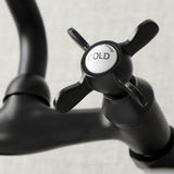 Essex Double-Handle 2-Hole Wall-Mount Bridge Kitchen Faucet