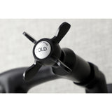 Essex Double-Handle 2-Hole Wall Mount Bathroom Faucet