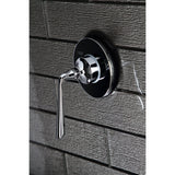 Silver Sage Single-Handle Three-Way Diverter Valve with Round Trim Kit