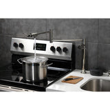 NuWave Single-Hole Deck Mount Pot Filler