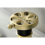 Belknap One-Handle 1-Hole Bathroom Faucet with Deck Plate and Push Pop-Up Drain