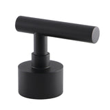 Manhattan Brass Lever Handle