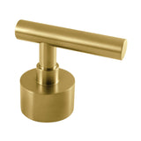 Manhattan Brass Lever Handle