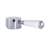 Paris Brass with Porcelain Lever Handle