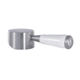 Paris Brass with Porcelain Lever Handle