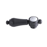 Brass Lever Handle (Hot Side)