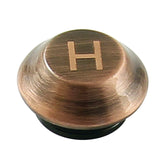 Kingston Hot Handle Index Button