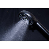Regal 10-Function Hand Shower with Power Wash