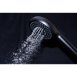 Regal 10-Function Hand Shower with Power Wash