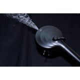 Regal 10-Function Hand Shower with Power Wash