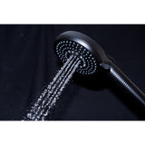 Regal 10-Function Hand Shower with Power Wash
