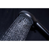 Regal 10-Function Hand Shower with Power Wash