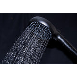 Regal 10-Function Hand Shower with Power Wash