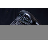 Regal 10-Function Hand Shower with Power Wash